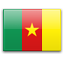 Flag of Cameroon